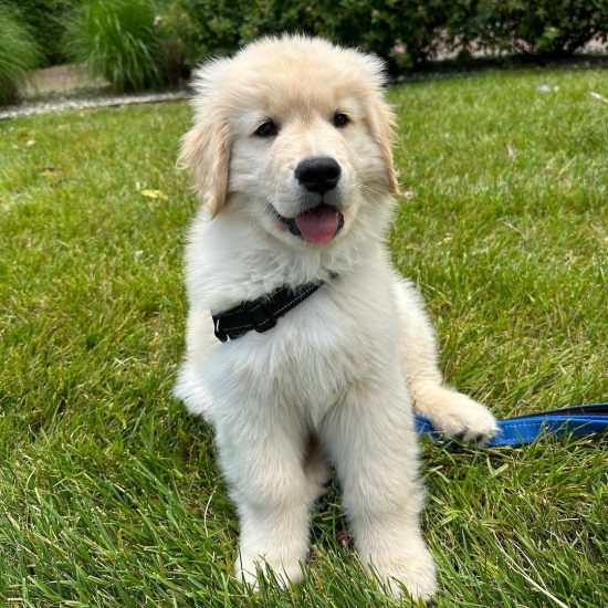 NALA 0